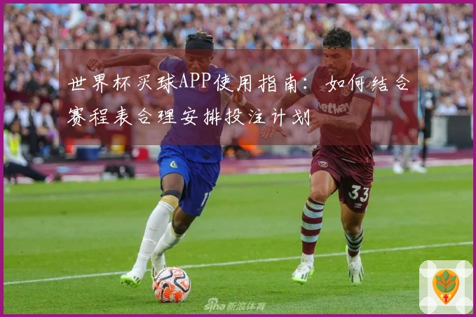 世界杯买球APP使用指南：如何结合赛程表合理安排投注计划