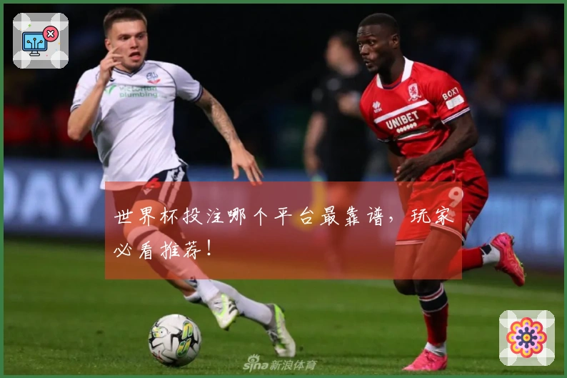 世界杯投注哪个平台最靠谱，玩家必看推荐！