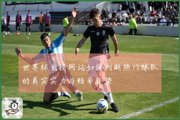 世界杯竞猜网站如何判断热门球队的真实实力与赔率走势
