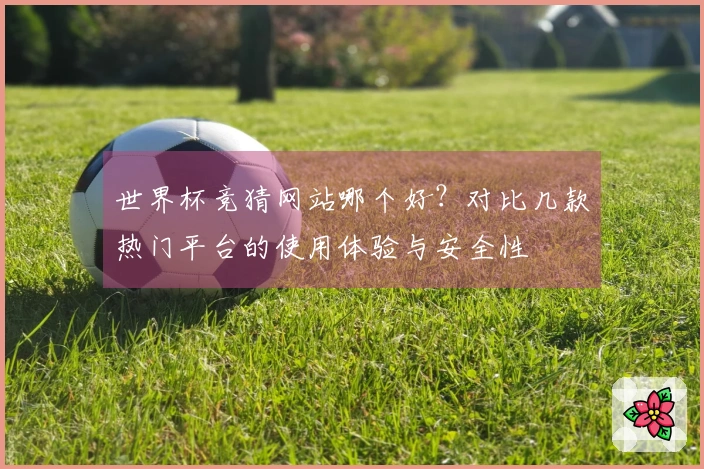 世界杯竞猜网站哪个好？对比几款热门平台的使用体验与安全性
