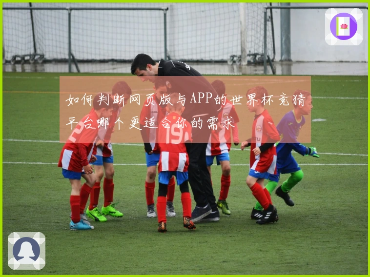 如何判断网页版与APP的世界杯竞猜平台哪个更适合你的需求