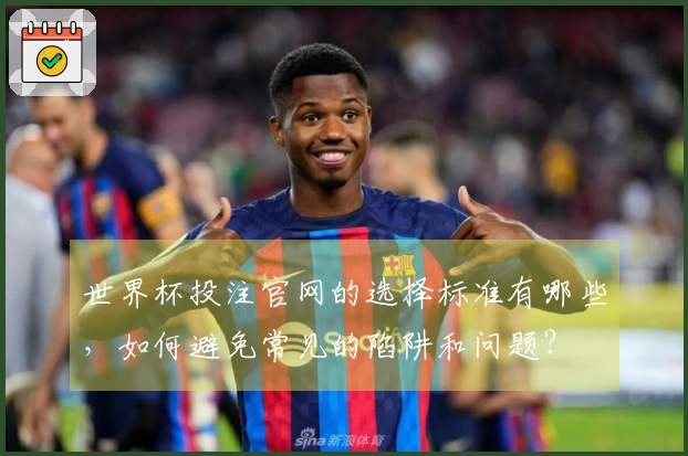 世界杯投注官网的选择标准有哪些，如何避免常见的陷阱和问题？
