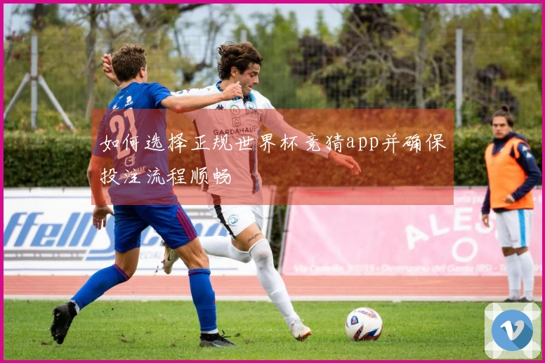 如何选择正规世界杯竞猜app并确保投注流程顺畅
