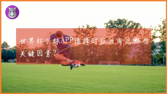 世界杯买球APP选择时应该考虑哪些关键因素？
