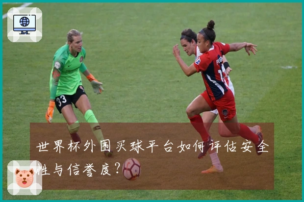 世界杯外围买球平台如何评估安全性与信誉度？