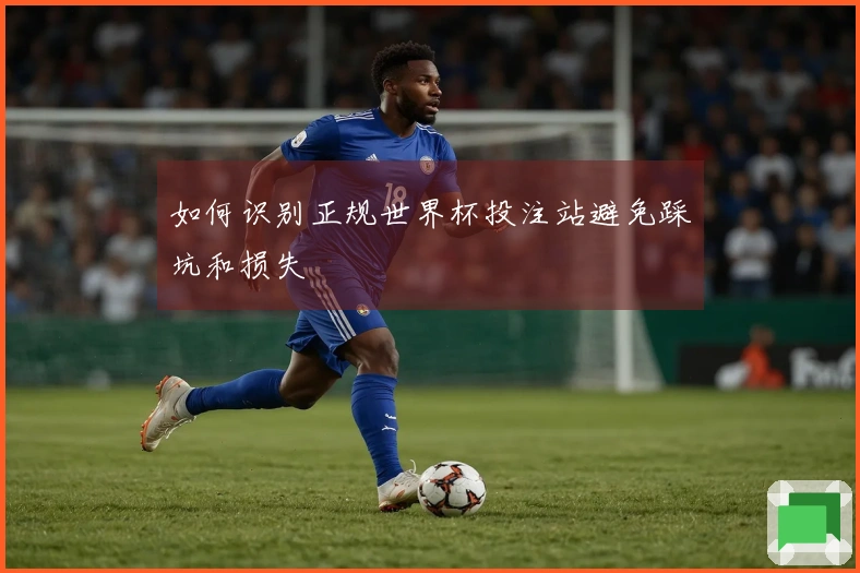 如何识别正规世界杯投注站避免踩坑和损失