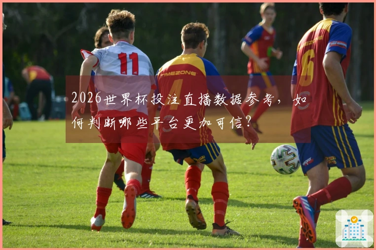 2026世界杯投注直播数据参考，如何判断哪些平台更加可信？