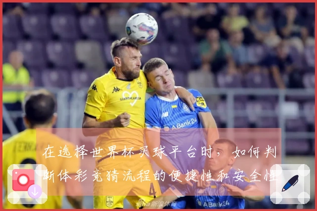 在选择世界杯买球平台时，如何判断体彩竞猜流程的便捷性和安全性？
