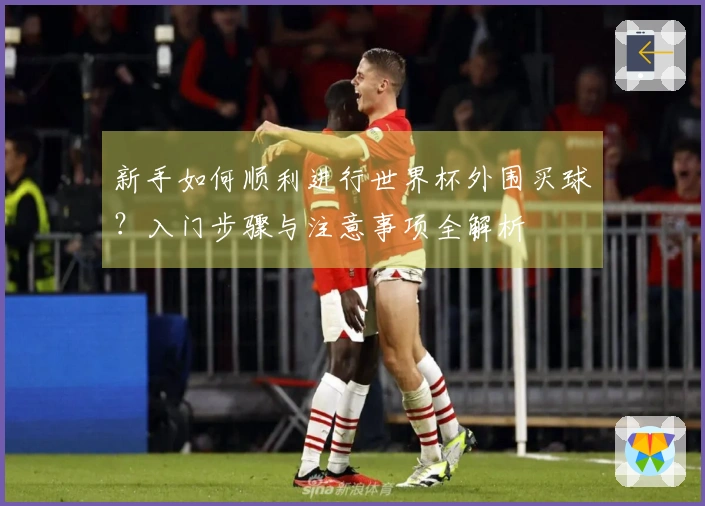 新手如何顺利进行世界杯外围买球？入门步骤与注意事项全解析