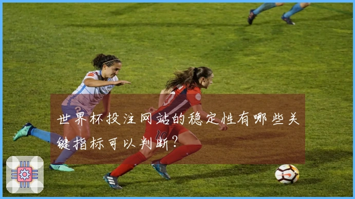 世界杯投注网站的稳定性有哪些关键指标可以判断？