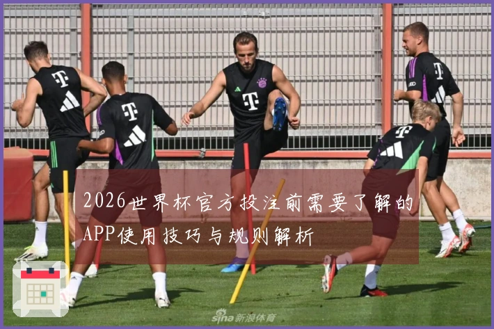 2026世界杯官方投注前需要了解的APP使用技巧与规则解析