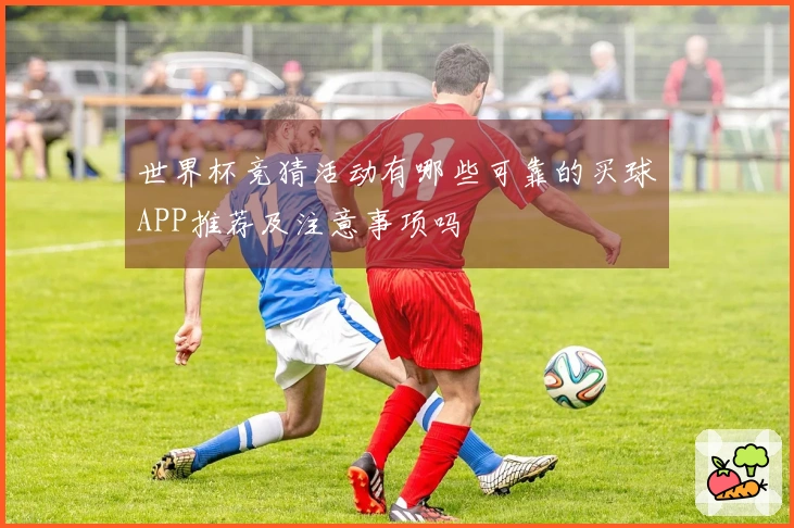 世界杯竞猜活动有哪些可靠的买球APP推荐及注意事项吗