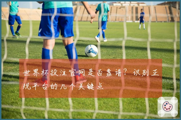 世界杯投注官网是否靠谱？识别正规平台的几个关键点