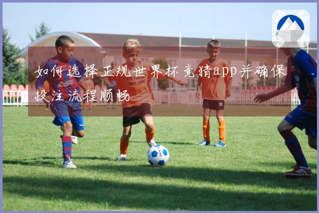 如何选择正规世界杯竞猜app并确保投注流程顺畅