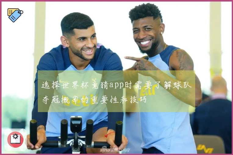 选择世界杯竞猜app时需要了解球队夺冠概率的重要性和技巧