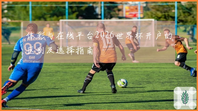 体彩与在线平台2026世界杯开户的区别及选择指南