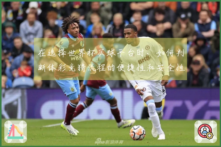 在选择世界杯买球平台时，如何判断体彩竞猜流程的便捷性和安全性？