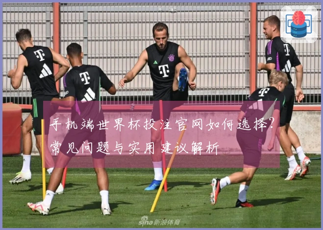 手机端世界杯投注官网如何选择？常见问题与实用建议解析