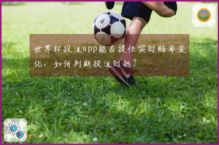 世界杯投注app能否提供实时赔率变化，如何判断投注时机？