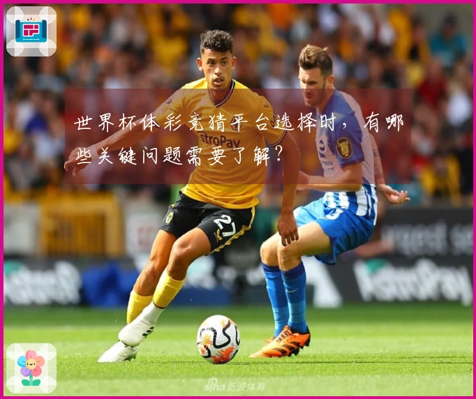 世界杯体彩竞猜平台选择时，有哪些关键问题需要了解？