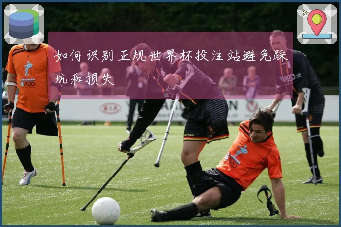 如何识别正规世界杯投注站避免踩坑和损失