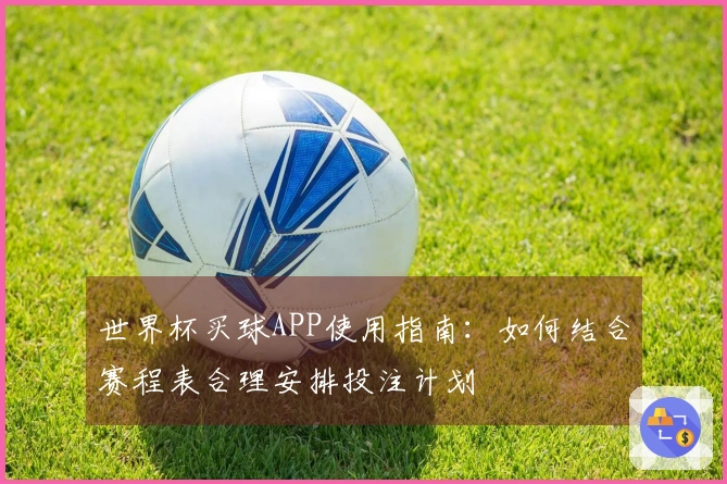 世界杯买球APP使用指南：如何结合赛程表合理安排投注计划