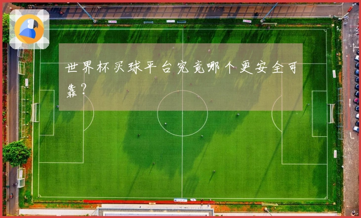 世界杯买球平台究竟哪个更安全可靠？